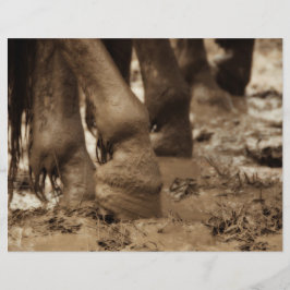 Pés-Cavalo Vintage Ocidental Sepia Brown Rustic