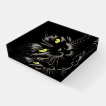 Pesa-papéis Gato Preto