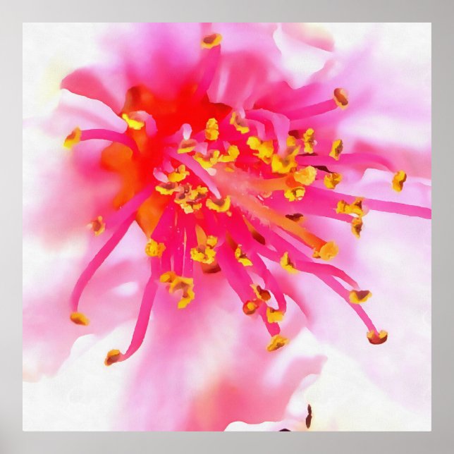 Pêssego Artístico, Poster de Macro Abstrato (Frente)