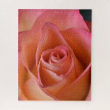Pêssego Rosa Rosa Rosa Rosa Quebra-cabeça