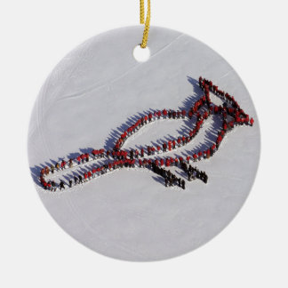 Pessoas do ornamento do projeto do cardeal 2010