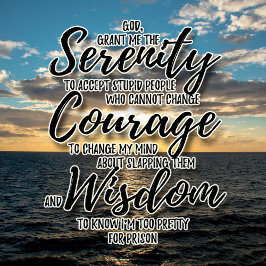 Pessoas estúpidas, camiseta de oração da serenidad