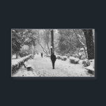Pessoas no parque em um dia de inverno nevado<br><div class="desc">Pessoas caminham no parque em um dia de inverno em Istambul. Neva muito. Conceito de beleza da natureza e pessoas no inverno.</div>