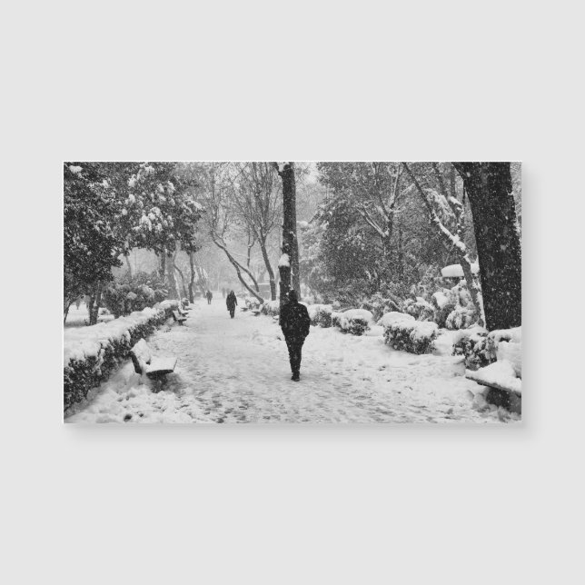 Pessoas no parque em um dia de inverno nevado (Frente)