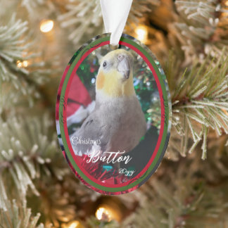 Pet Acrylic Enfeites de natal Bird Personalizável