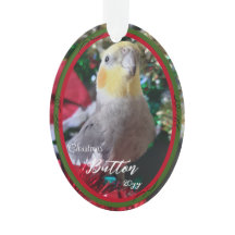 Pet Acrylic Enfeites de natal Bird Personalizável
