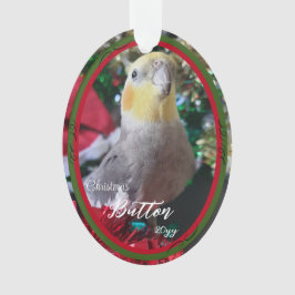 Pet Acrylic Enfeites de natal Bird Personalizável