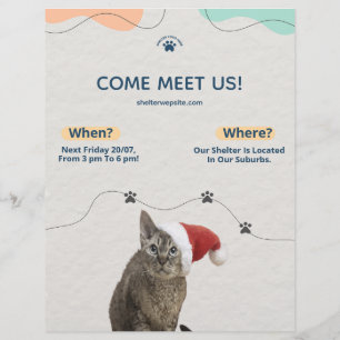 Pet Adotion, Animal Shelter Donations Flyer
