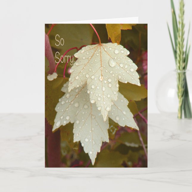 Pet Cartão de condolências para Perda de Cão (Frente)