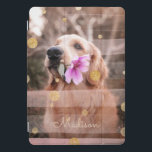 Pet Dog Photo Pink Ribbon Chic Nome da Lente Doura<br><div class="desc">Este design moderno apresenta a sua foto favorita com uma cobertura de fita rosa e bolinhas de brilho douradas,  personalizadas com o seu nome. Perfeito como presente ou para se mimar #presentes personalizados #fotogiftsforher #addyourown</div>