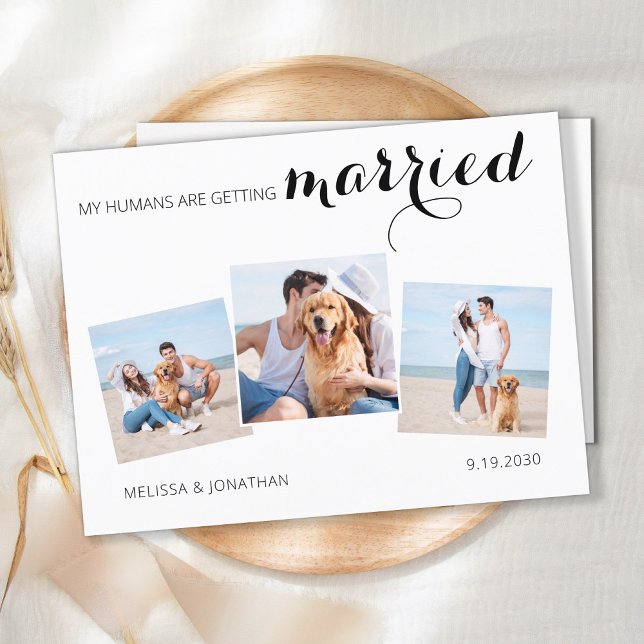 Pet Foto Personalizada Colagem Cachorro Salva A Da (Criador carregado)