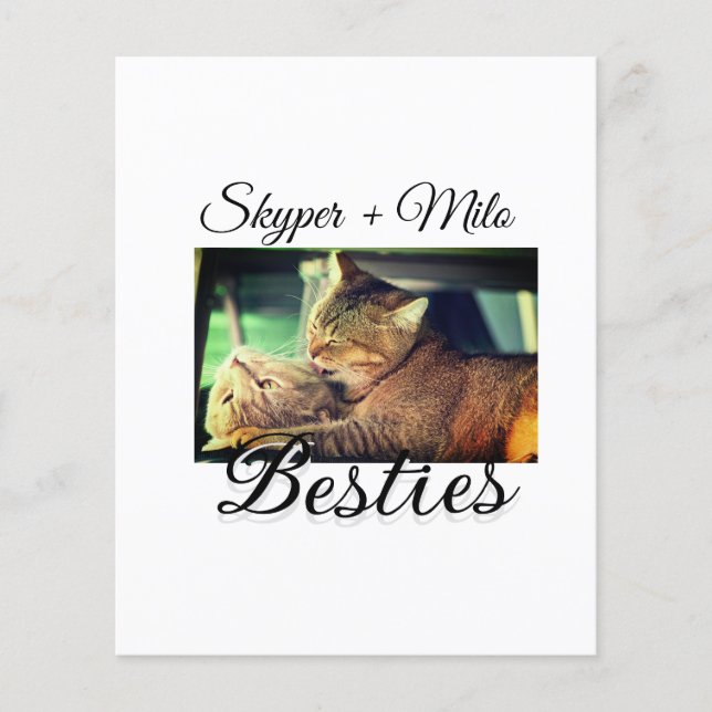 Pet Frities adiciona nome e foto animal amor (Frente)