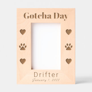Pet Gotcha Day