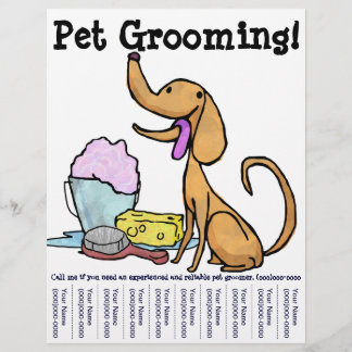 Pet Grooming! Folheto