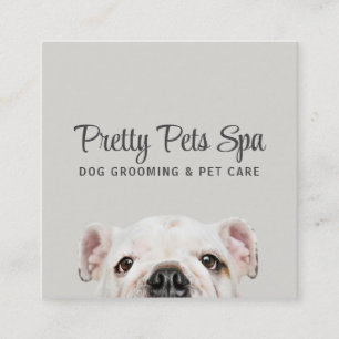 Pet Grooming Sitter Dog Spa Square Cartão de visit