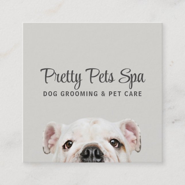 Pet Grooming Sitter Dog Spa Square Cartão de visit (Frente)