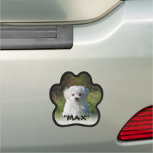 Pet image Paw modela o texto da borda