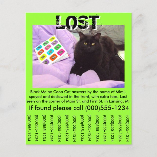 Pet Lost Flyer Modelo - Flyer de 4,5" x 5,6" (Frente)