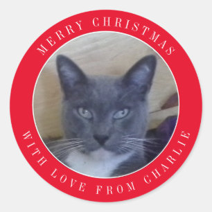 PET LOVE Adesivos de Natal Grandes Redondos / Verm