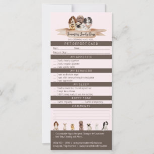 Pet Marrom Cor-de-rosa Manchado Embaralando Cão