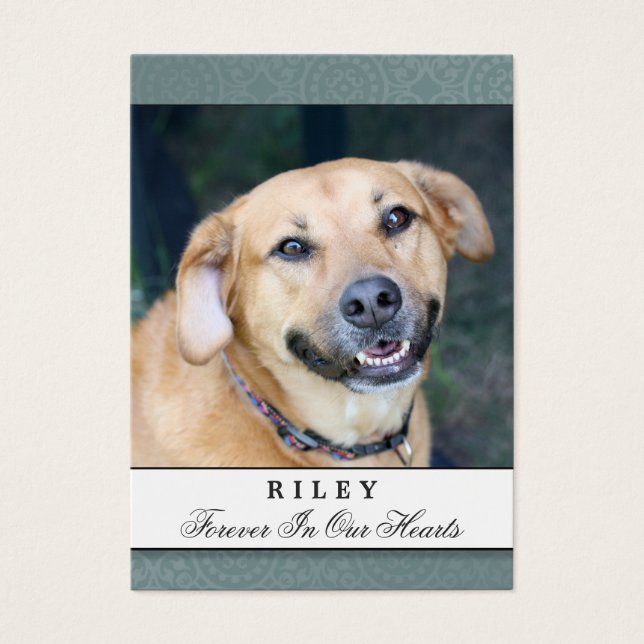 Pet Memorial Card Teal - Deus Te Viu Poema (Frente)