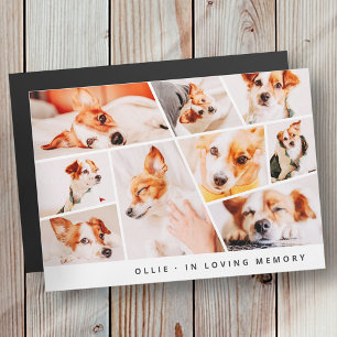 Pet Memorial Modern Simple 9 Photo Collage Card