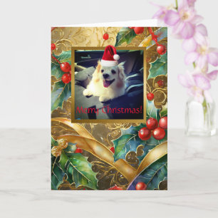 Pet Natal, Cartão de Saudação Dobrado de 5" x 7"