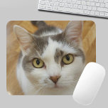 Pet Personalizado Pet Photo Mousepad Personalizado<br><div class="desc">Carregue sua foto e crie um painel de mouse personalizado. Você pode TRANSFERIR este DESIGN em outros produtos do Zazzle e ajustá-lo ao ajustado da maioria dos itens do Zazzle. Você também pode clicar no botão PERSONALIZAR para adicionar, excluir ou alterar detalhes como cor de fundo, texto, fonte ou alguns...</div>