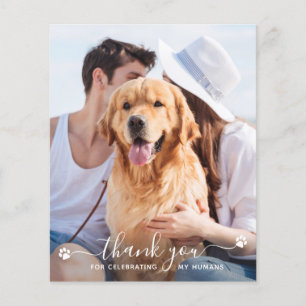 Pet Photo Dog Weding Budget Obrigado Cartões