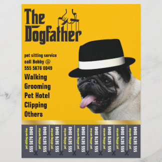 Pet Sentado 🐾 Cachorro Dogdad Walker Confiante