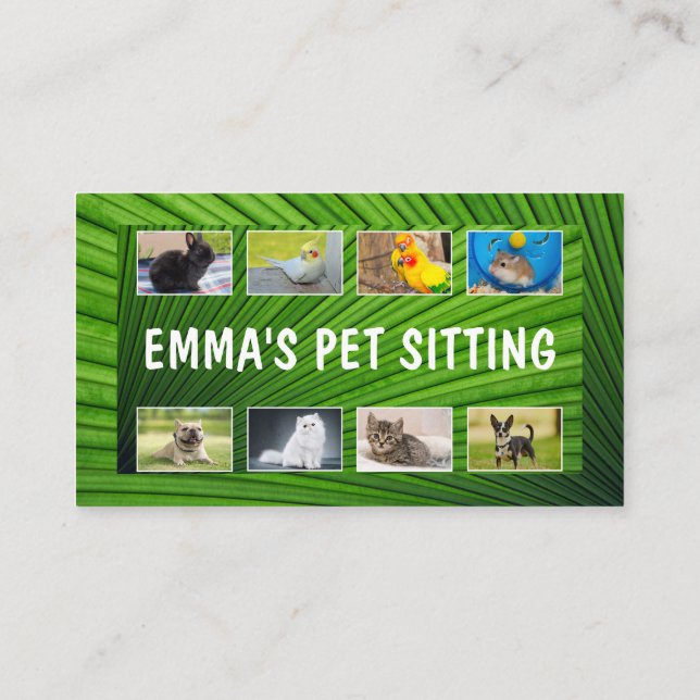 Pet Sitter Cartão de visita Dog Walker (Verso)