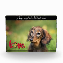 Pet Sympatht Heart Paw Print Memory Keepsaet