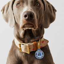 Alerta Médico de Texto Personalizado para Cachorro