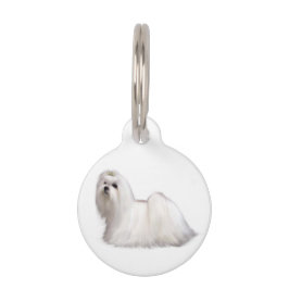 Pet Tag Cão Maltês
