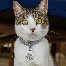 Pet Tag Círculos marinho Azul e Cor-de-Rosa/Retrosectores 