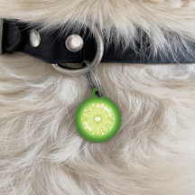 Fatia de Fruta de Citros de limão com informações 