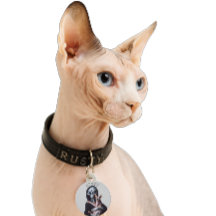 Gato Alien Sem Pelo Sphynx Nome Personalizado Plac