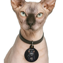 Gato Sphynx Ceifador Custom Divertido