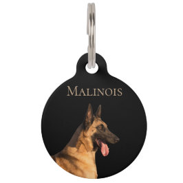 Pet Tag Malinois