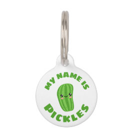 Pet Tag Meu nome é picles