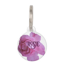 Nome de gato rosie rosado rosa floral