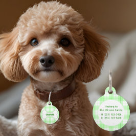 Pet Tag Osso do Padrão de Xadrez Verde