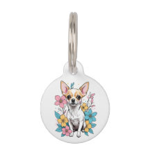 Primavera Chihuahua