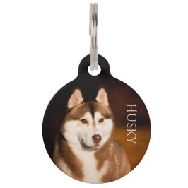 Pet Tag Rouco Siberian