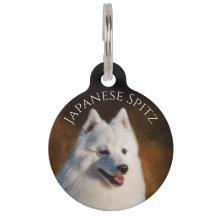 Spitz Japonês