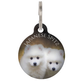 Pet Tag Spitz Japonês