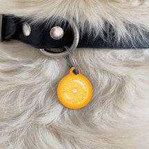 Trilha de Fruta de Citros Laranja com informações 