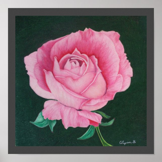 Petais cor-de-rosa Impressão de 12"x12" (Frente)