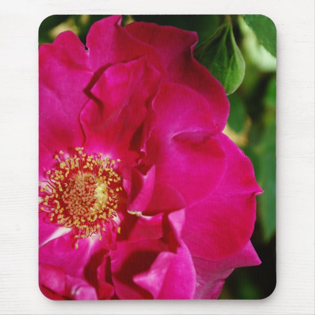 Petais do Mousepad de Verão (Frente)
