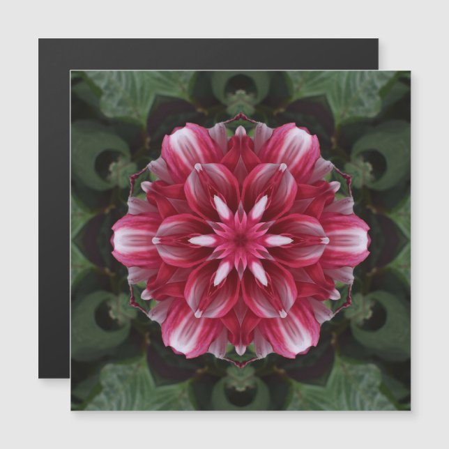 Petal Symphony Magnetic Card (Frente/Verso)